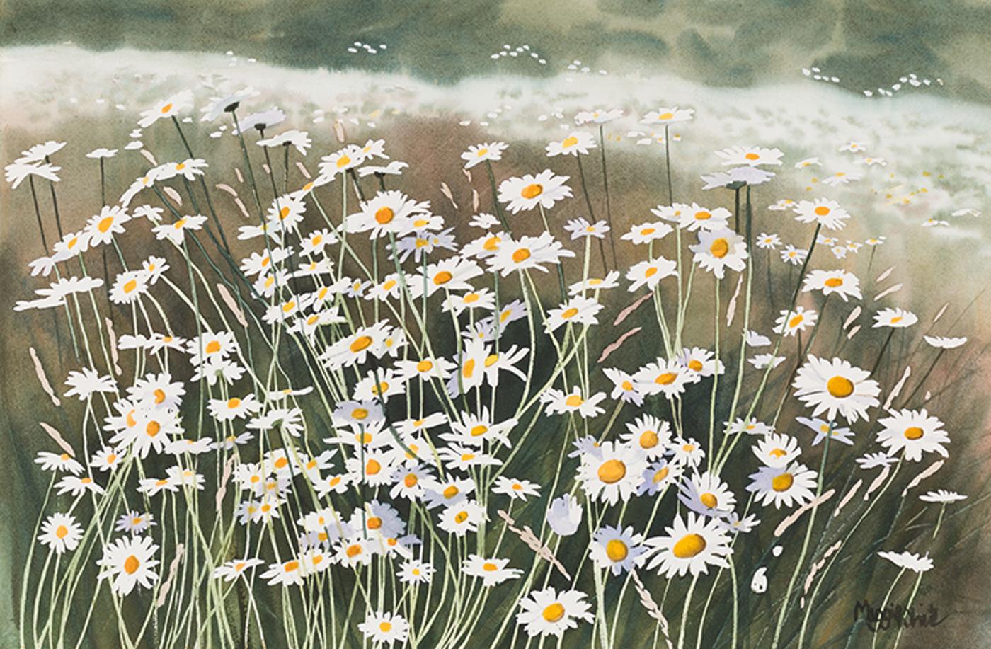 Maggie White - Meadow of Daisies