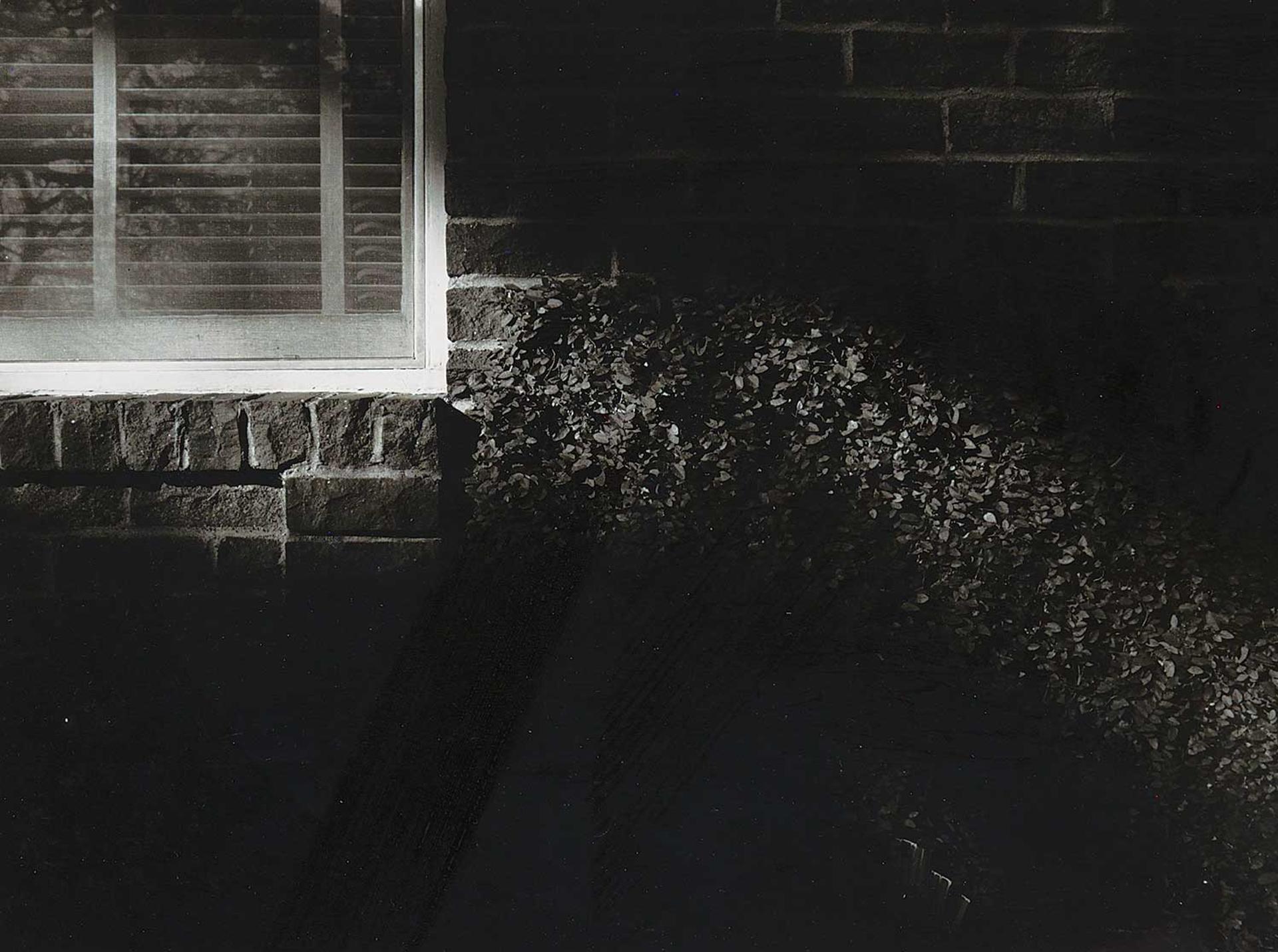 Edward Burtynsky (1955) - Untitled - Hedge and Window