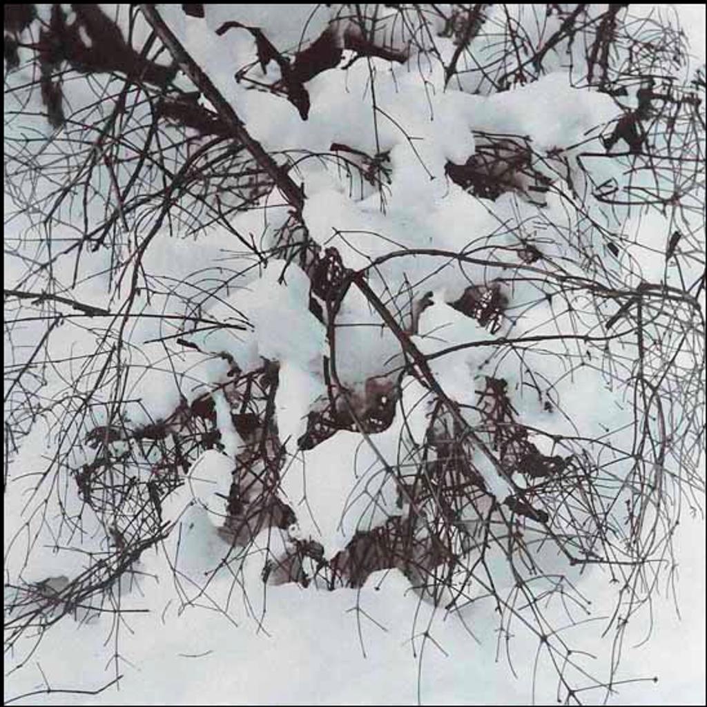 Judy Gouin (1947) - Fallen Branch in Snow (01576/2013-2471)