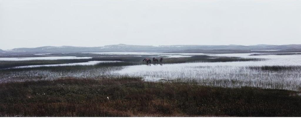 Thaddeus Holownia (1949) - Sable Island, 1985-1994 #4