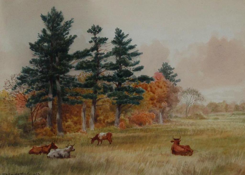 Thomas Mower Martin (1838-1934) - Cattle In A Clearing