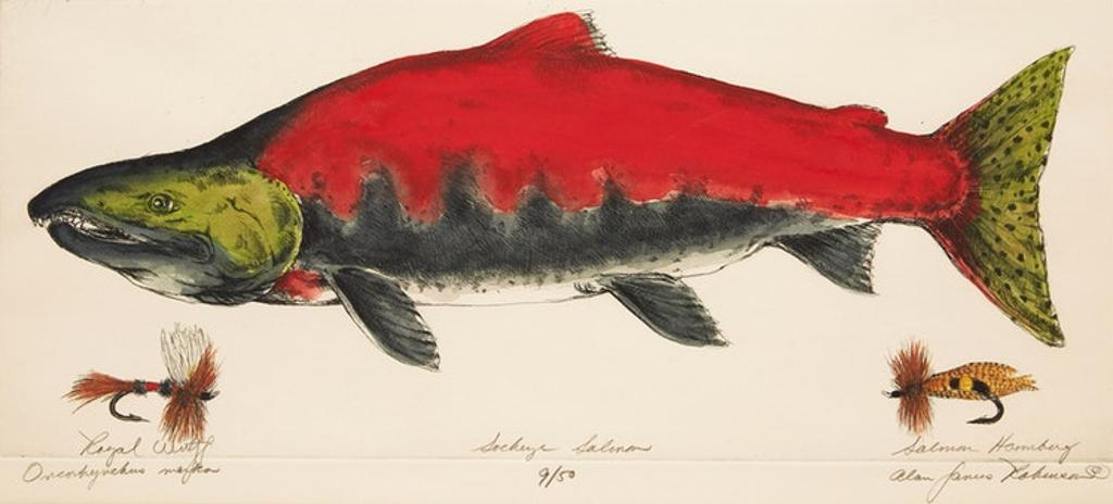 Alan James Robinson - Sockeye Salmon (Oncorhynchus Nerka)
