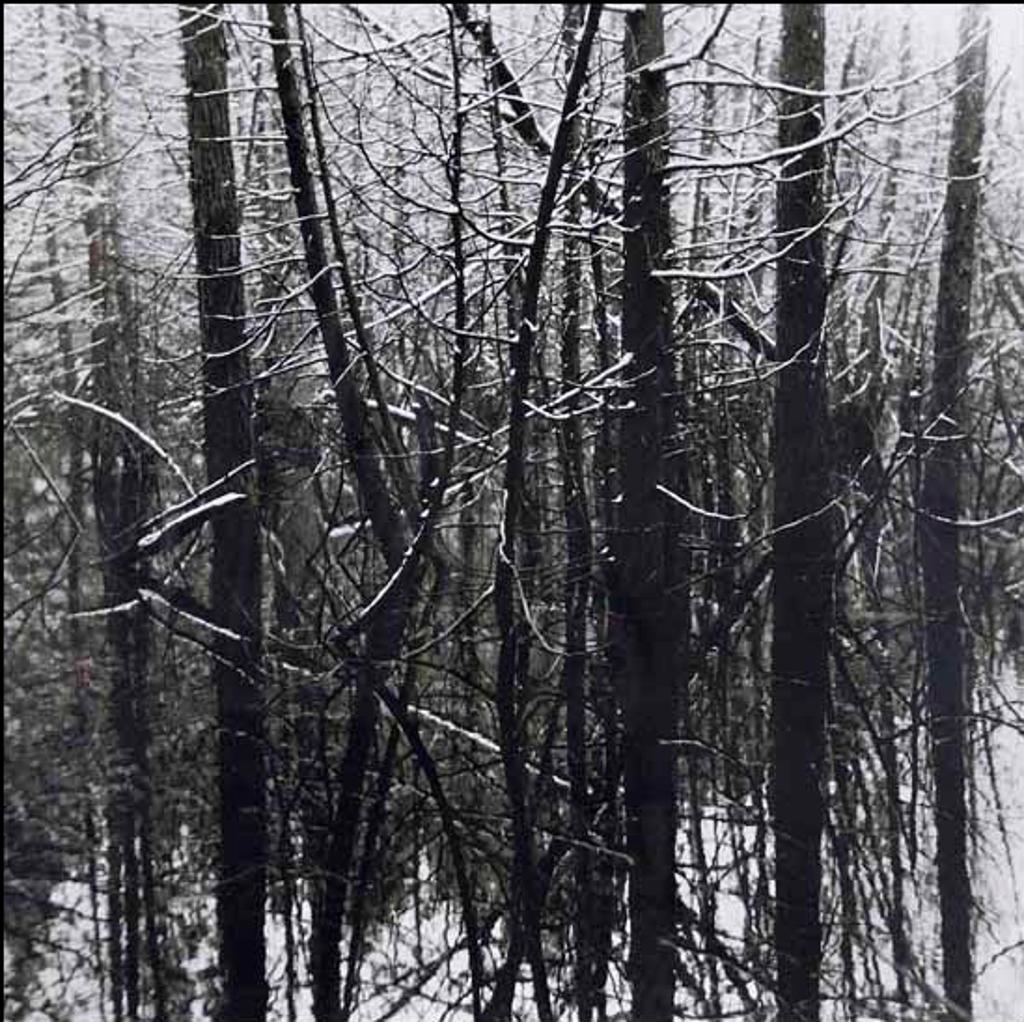 Judy Gouin (1947) - Beaver Swamp, Spring Snow III (02141/2013-1285)