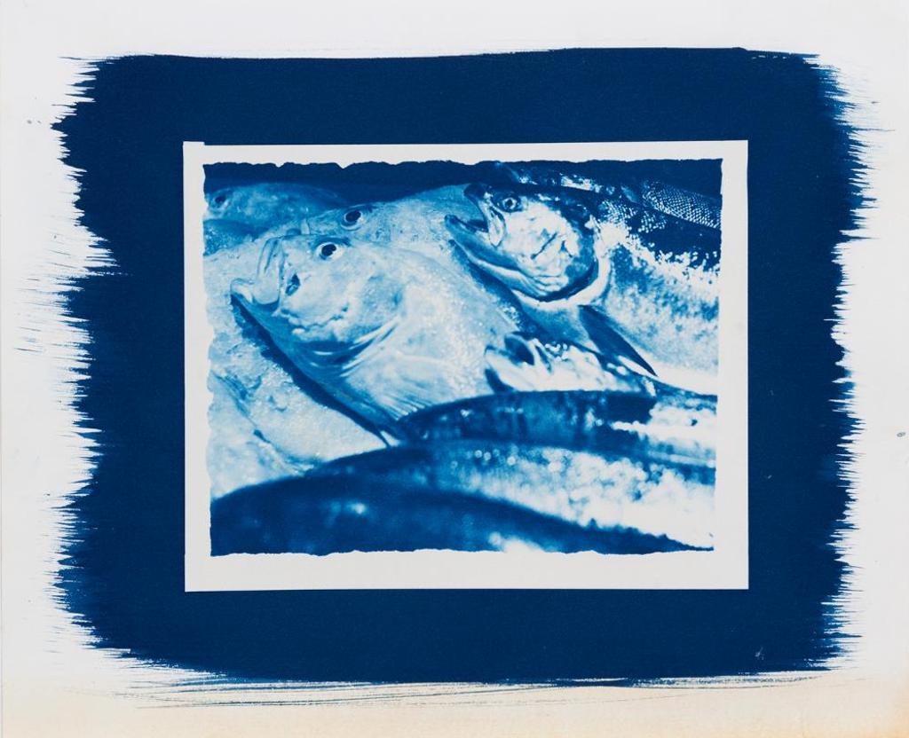 Jann Bailey (1952) - Untitled - Fish