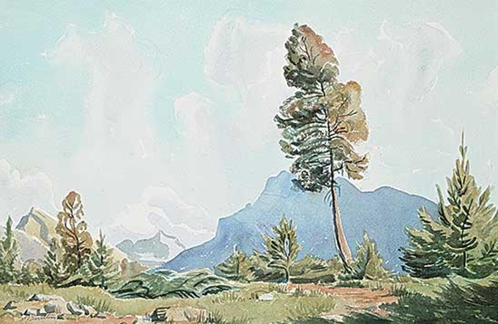 Margaret Dorothy Shelton (1915-1984) - Tree in Banff Campground, Mt. Rundle