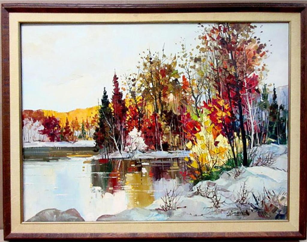 Gyula - Winter Lake Scene