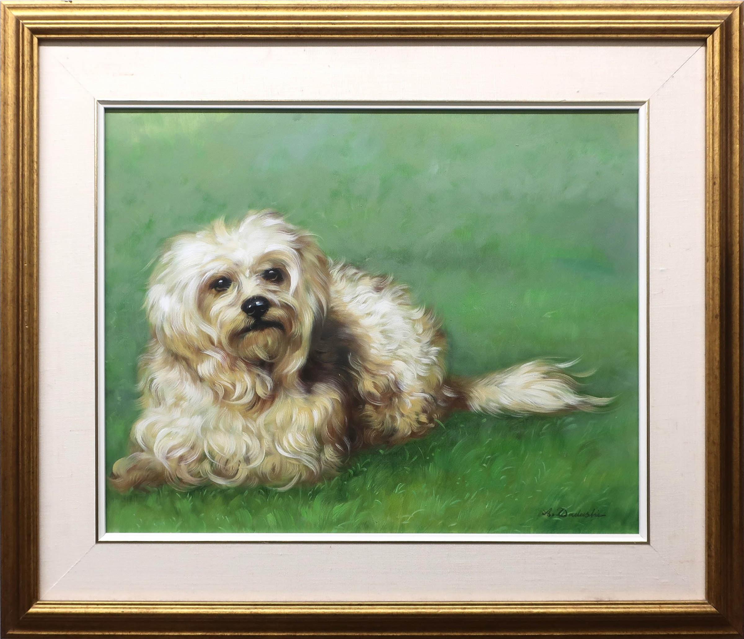 Aby Dadashi (1958) - Untitled (Pekingese Dog)