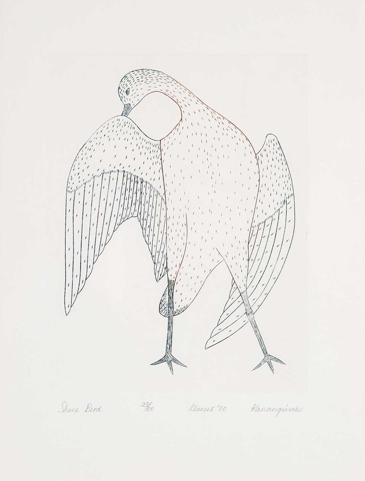 Pootoogook (1887-1958) - Shore Bird  #23/50