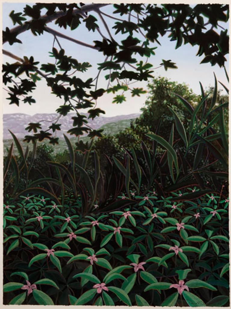 David Denyse (1952) - Jungle Growth (03679/148)