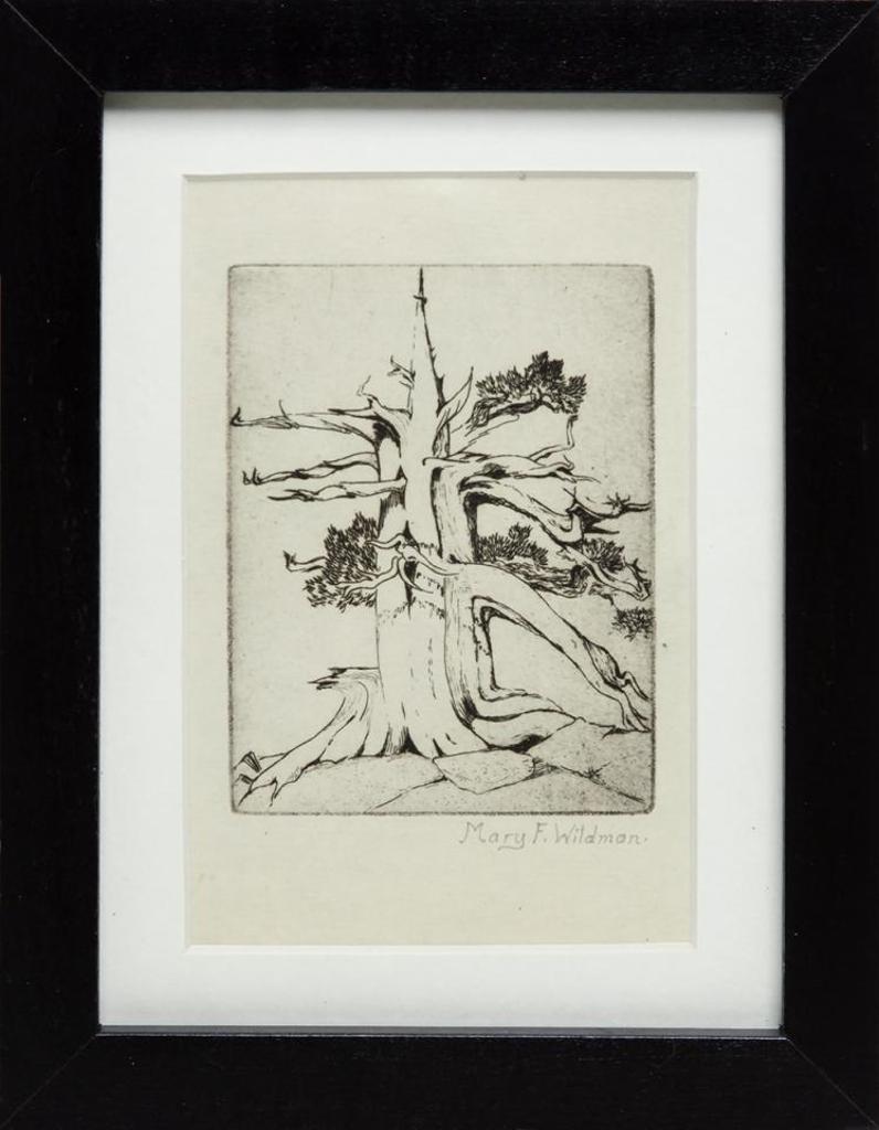 Mary F. Wildman (1899-1967) - Untitled - Untitled