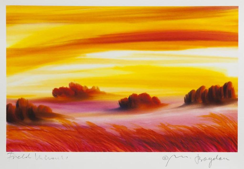 Bogdan Mirkovic (1960) - Field Visions