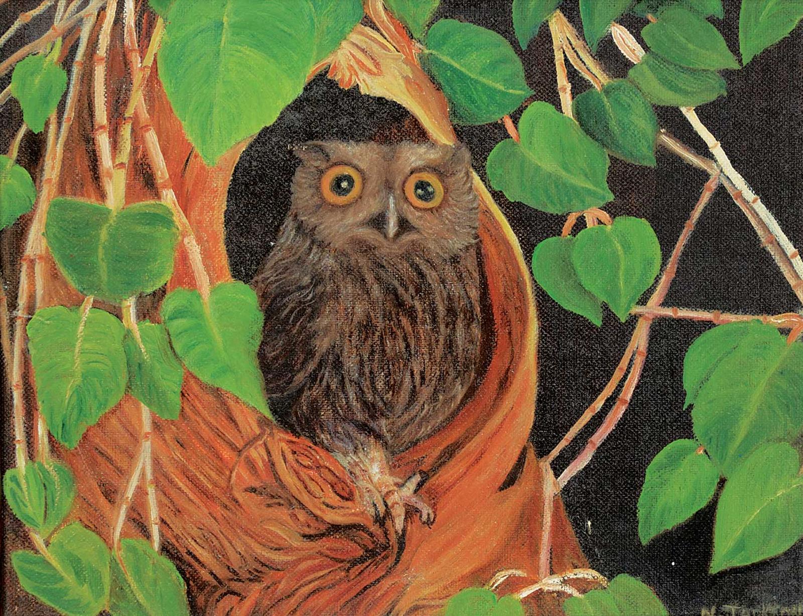 N. Jackson - Untitled - The Owl
