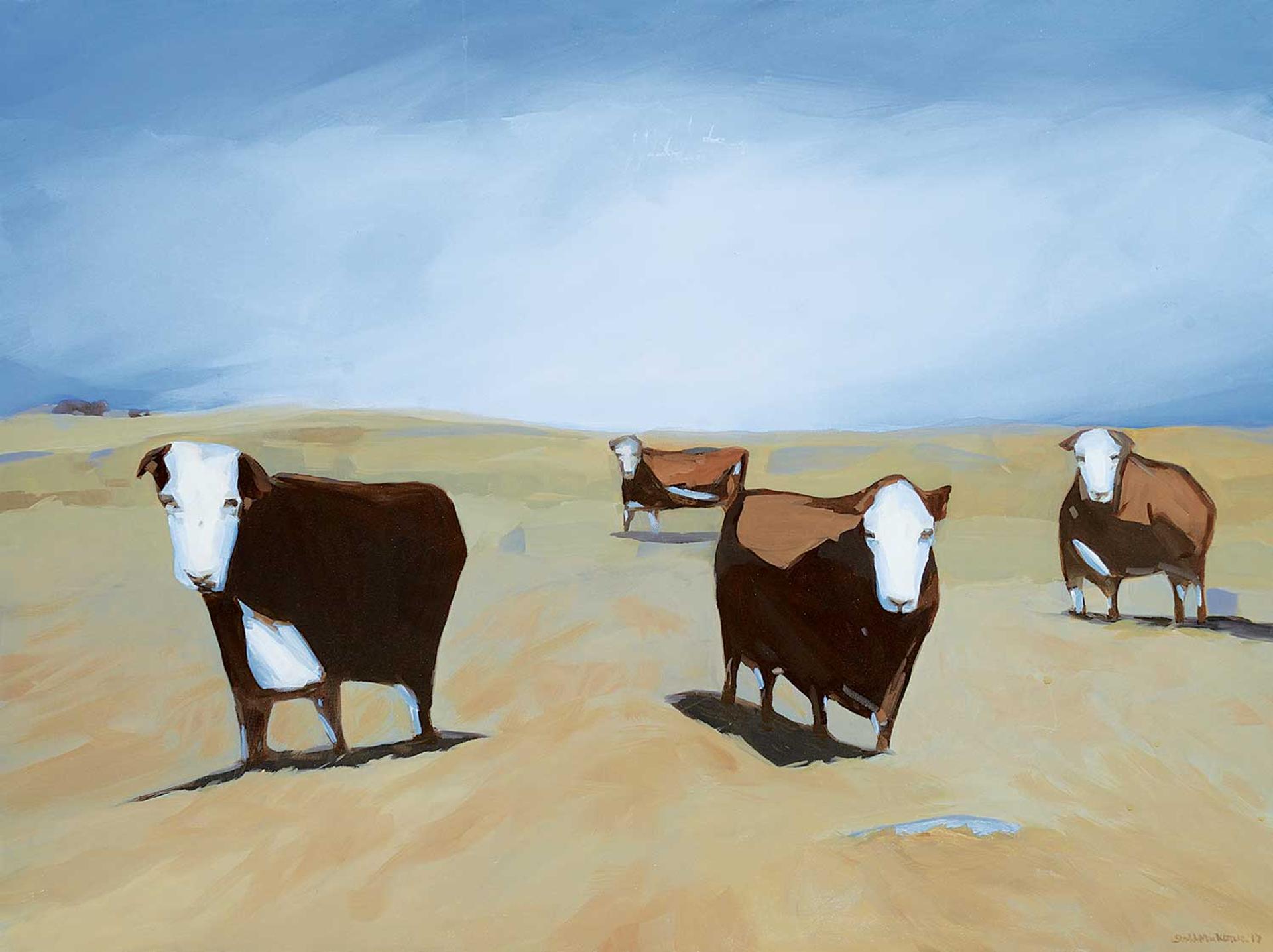 Scott MacKenzie - Cows