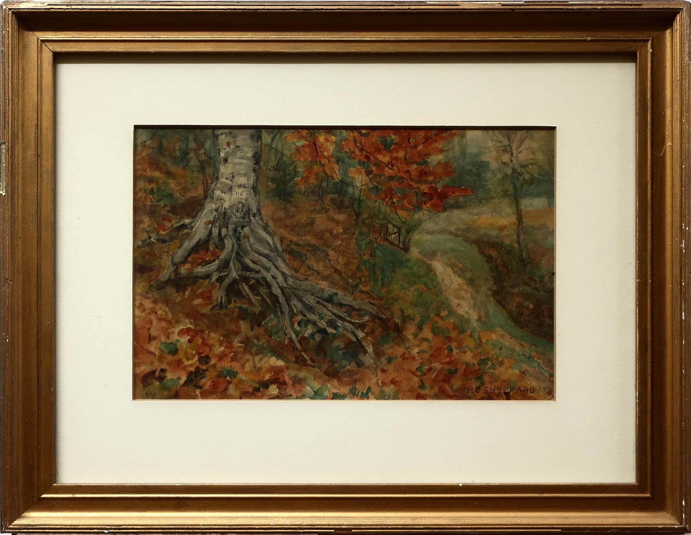 Peter Clapham (P.C.) Sheppard (1882-1965) - Untitled (Twisted Roots - Autumn)