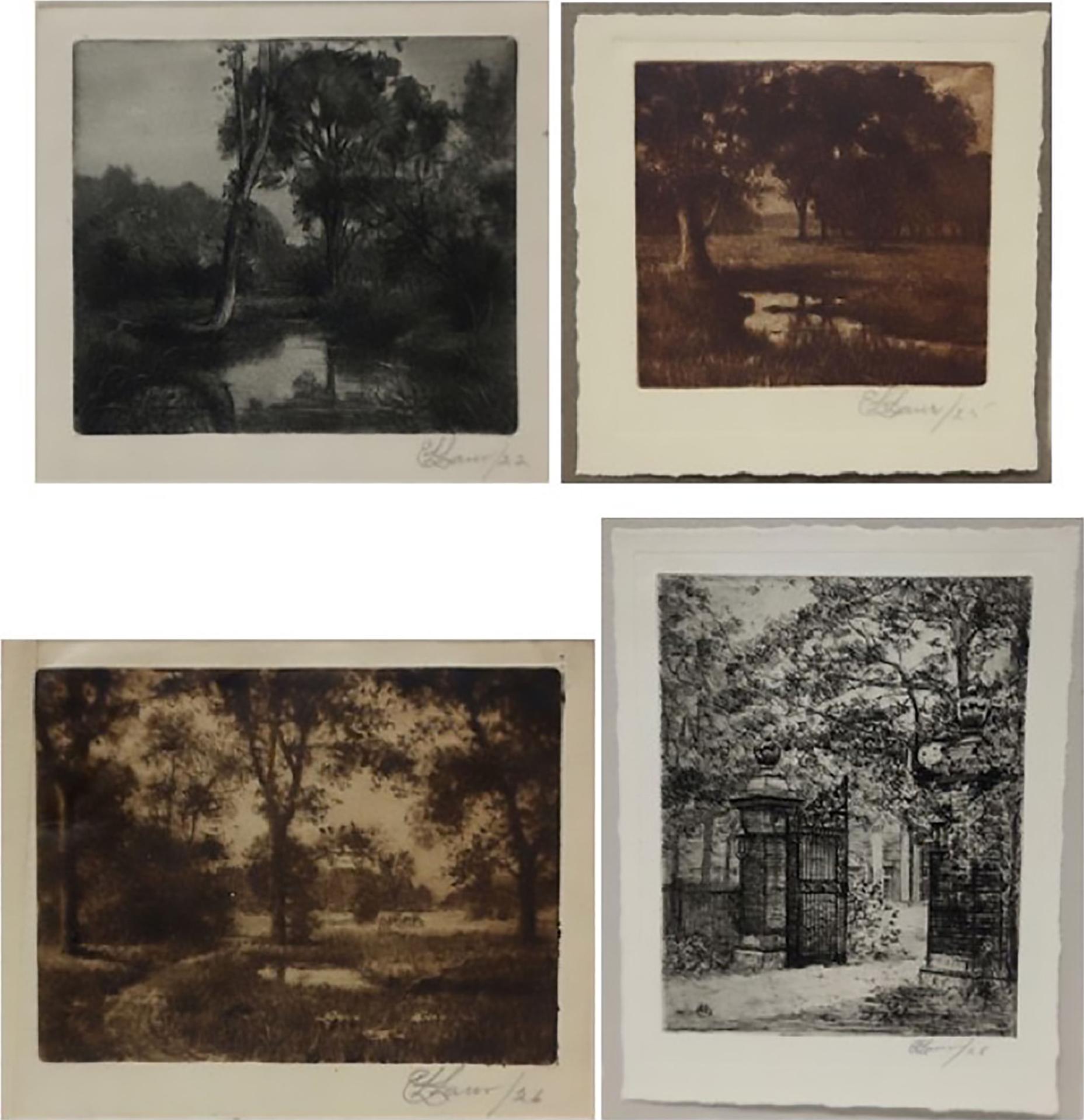 Edgar Lee Laur - Various Studies