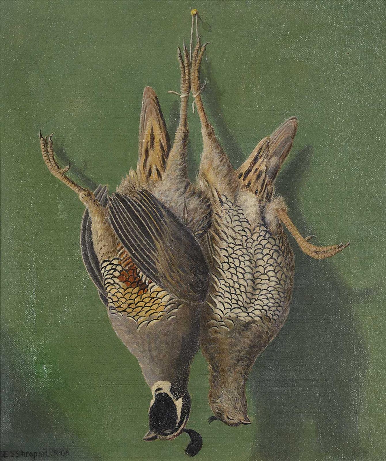 Edward Scrope Shrapnel (1847-1920) - Untitled - Male and Female Quail