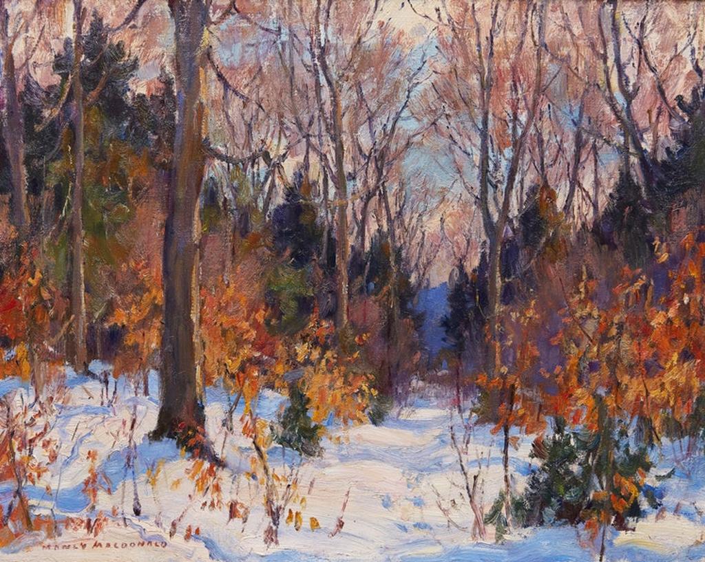 Manly Edward MacDonald (1889-1971) - Forest in Winter