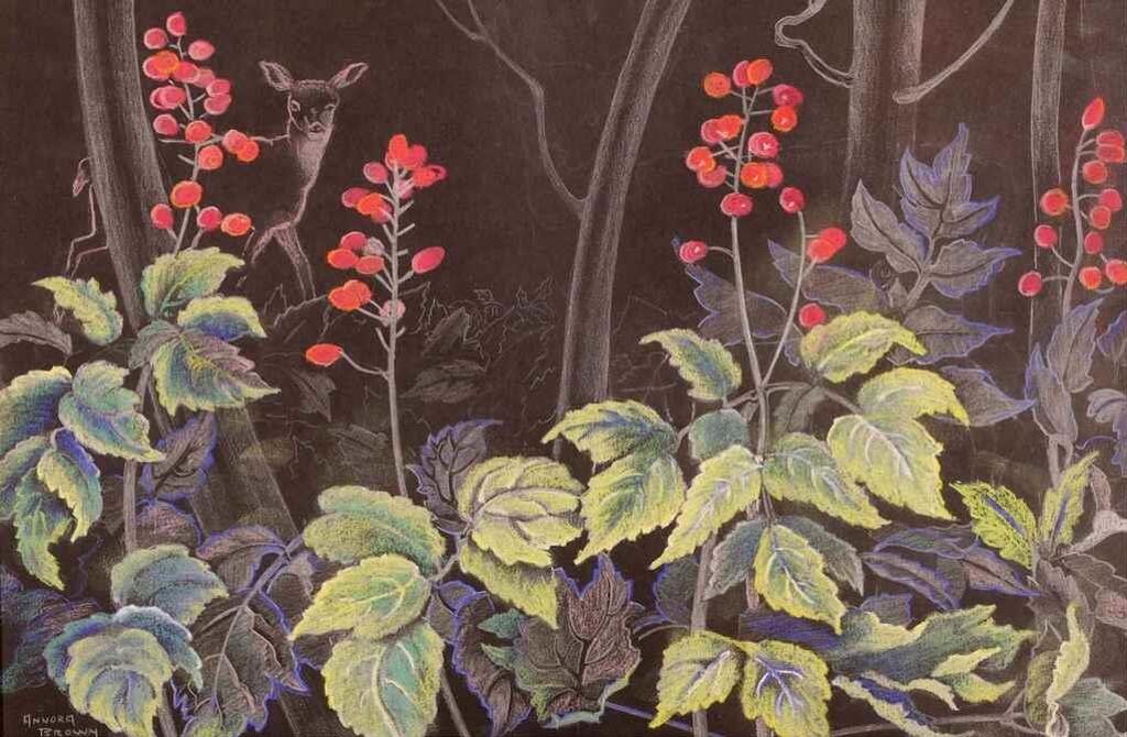 Annora Brown (1899-1987) - Forest Scene With Baneberry And Deer