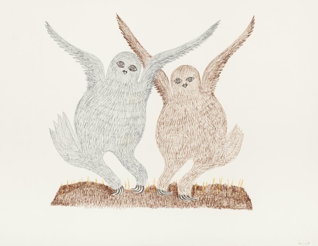 Pitaloosie Saila (1942-2021) - Two Young Owls, c. 1980-81