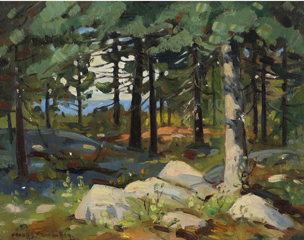 Frank Shirley Panabaker (1904-1992) - Sunlit Forest