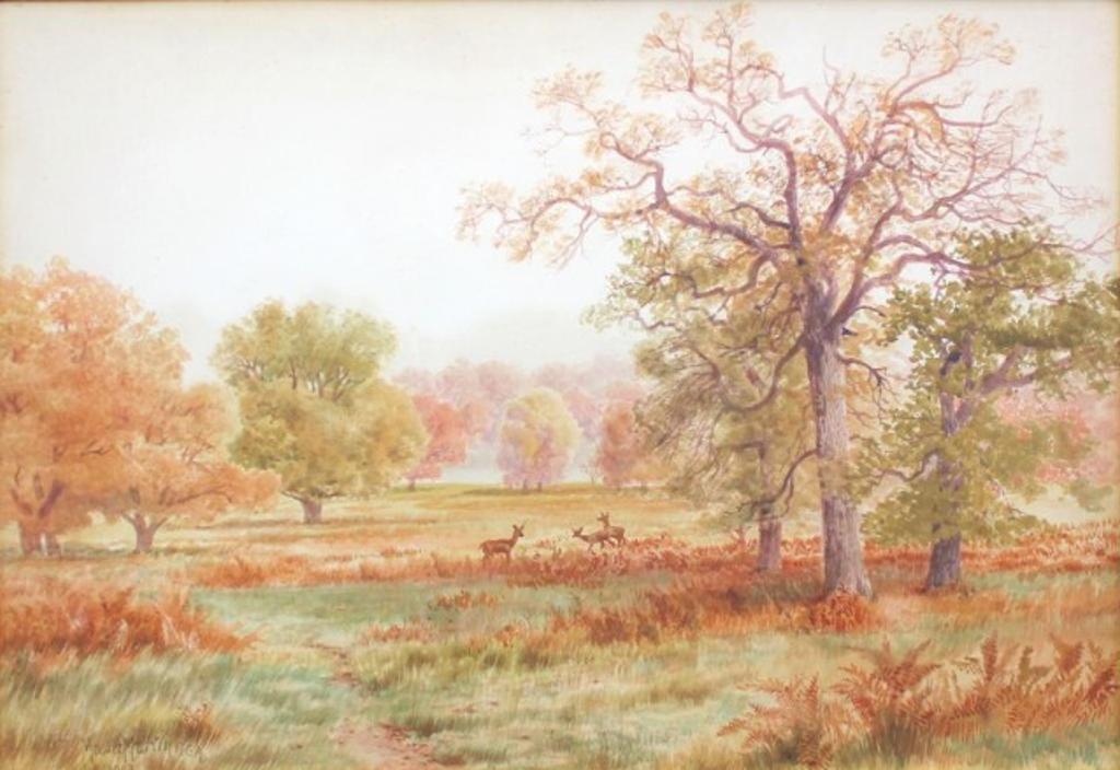 Thomas Mower Martin (1838-1934) - Deer in a Meadow