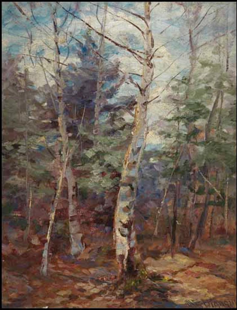 Mary Ella Williams Dignam (1860-1938) - Silver Birches, Autumn