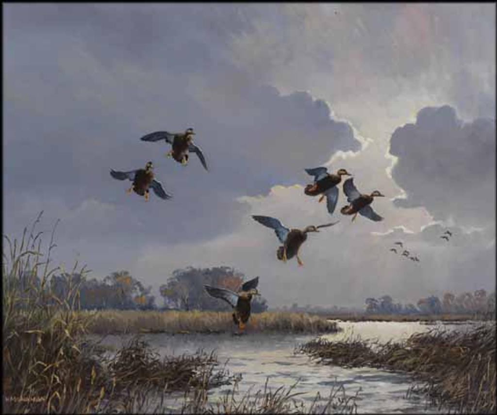 Hugh C. Monahan (1914-1970) - Black Ducks in the Afternoon (Near Cochrane, Ontario)