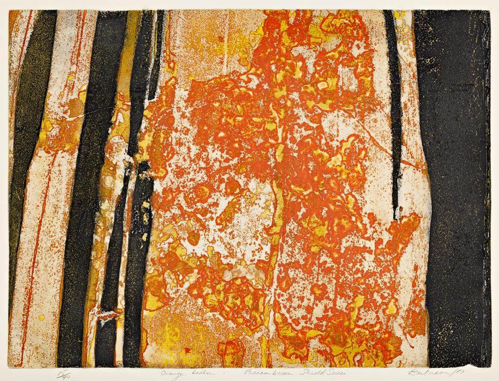 Edward T. Bartram (1938) - Orange Lichen, Precambrian Shield Series
