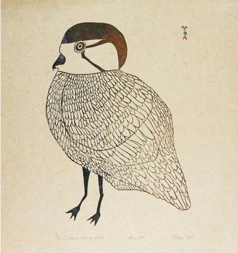 Ulayu Pingwartok (1904-1978) - I Saw A Strange Bird
