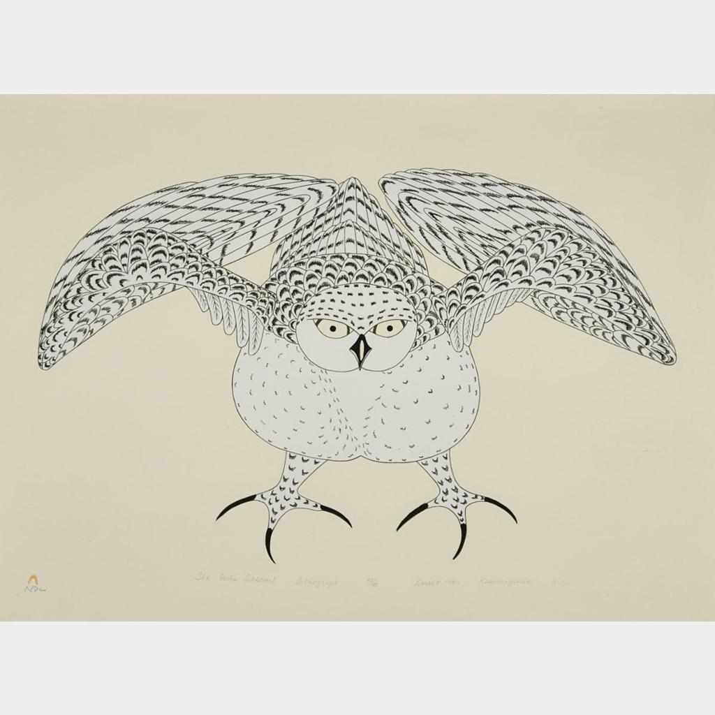 Kananginak Pootoogook (1935-2010) - The Owl’S Descent