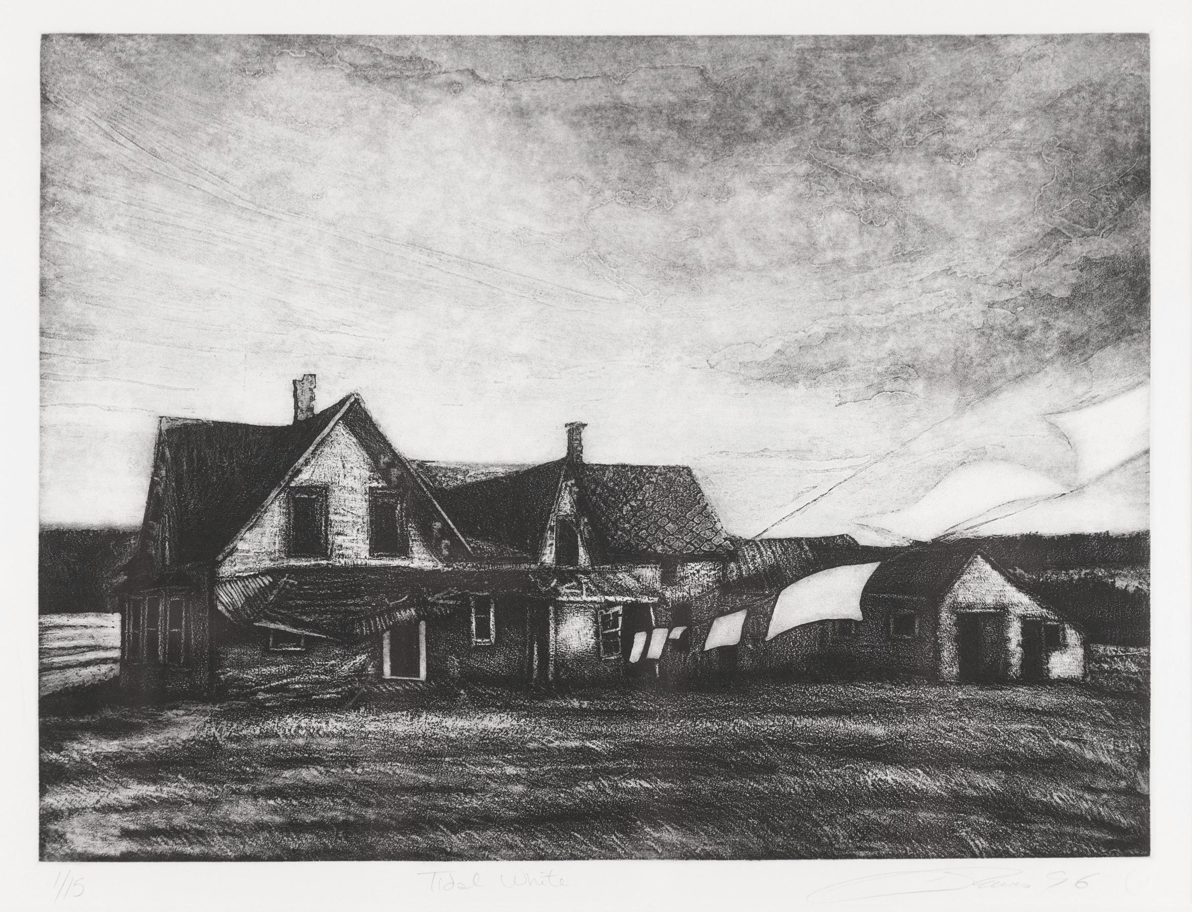 Dan N. Steeves (1959) - Untitled