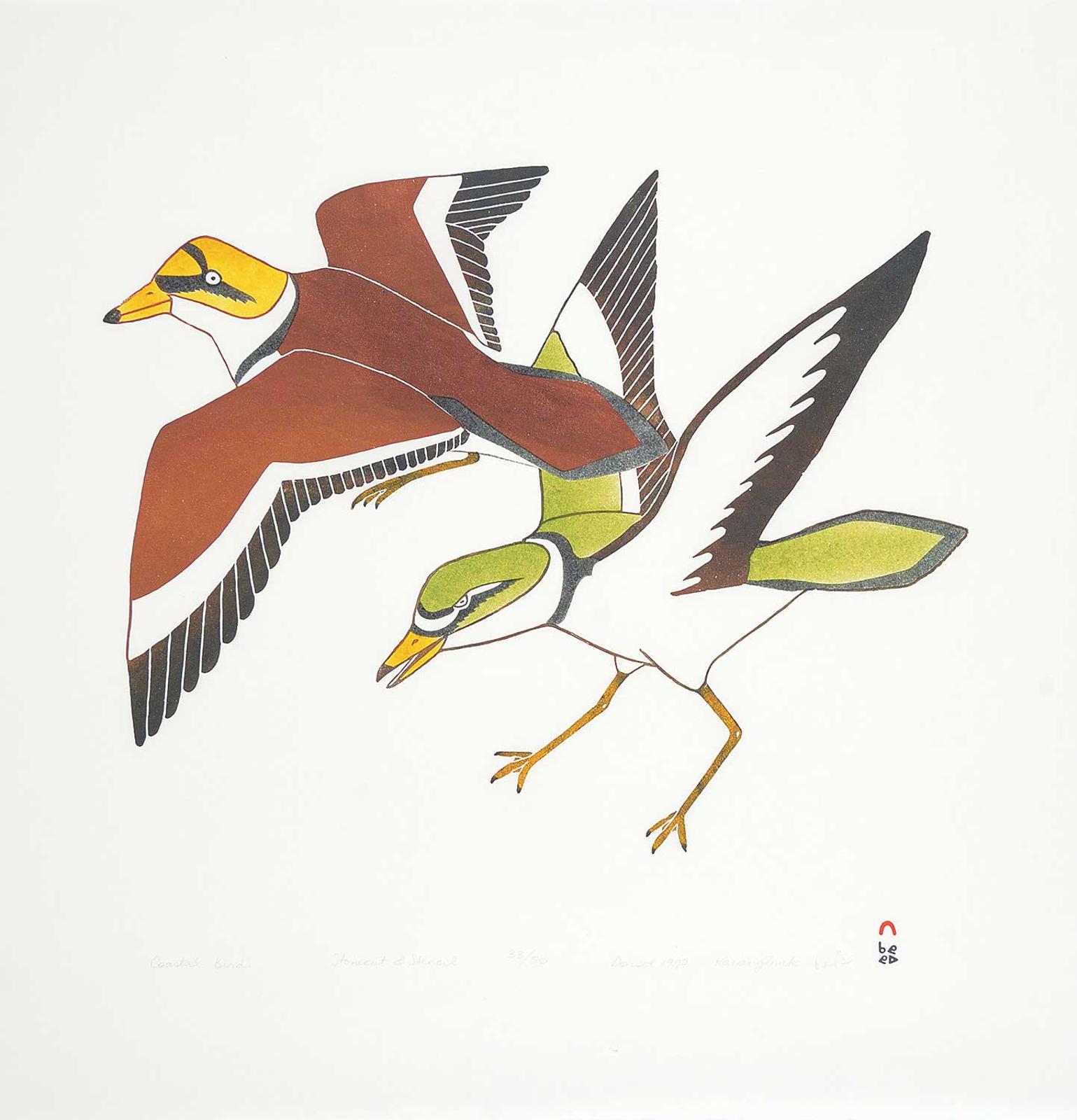 Pootoogook (1887-1958) - Coastal Birds #33/50