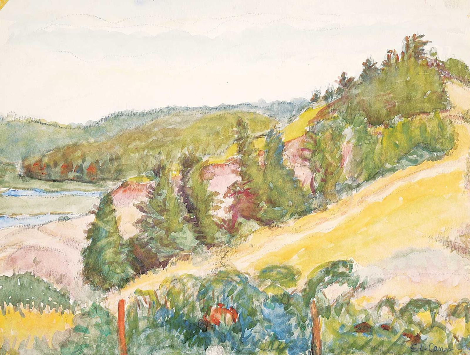 Elizabeth Lovitt Cann - Untitled - Hillside