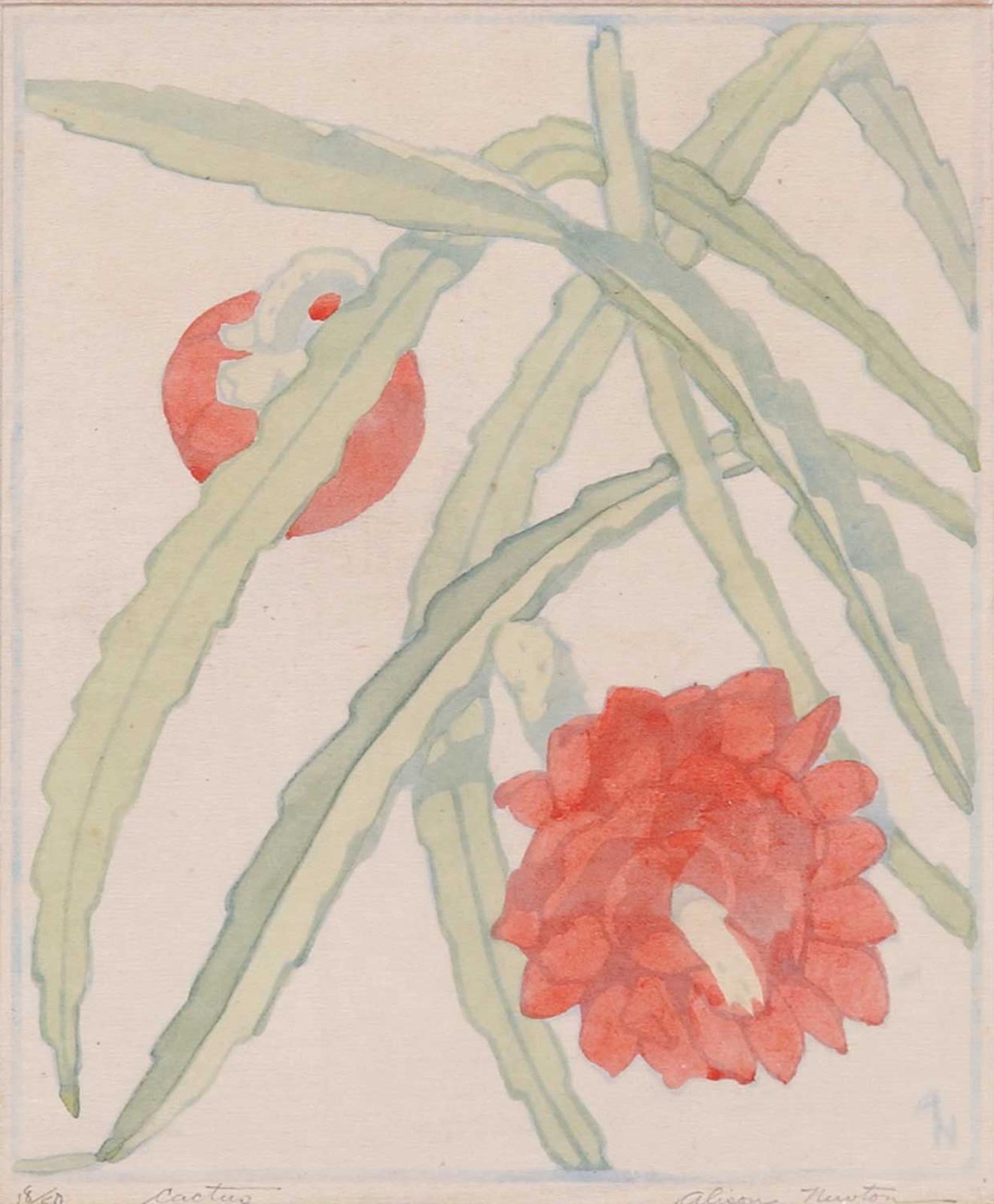 Alison Houston Lockerbie Newton (1890-1967) - Cactus  #18/50