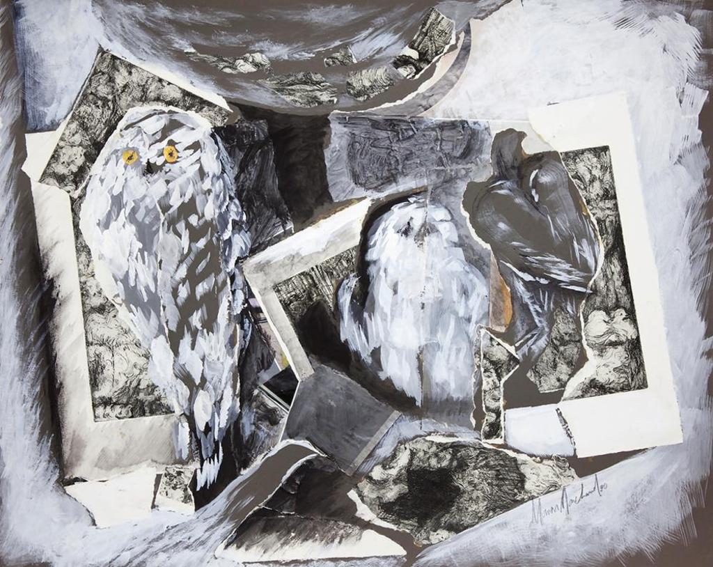 Manon Marchand - Untitled - Owls