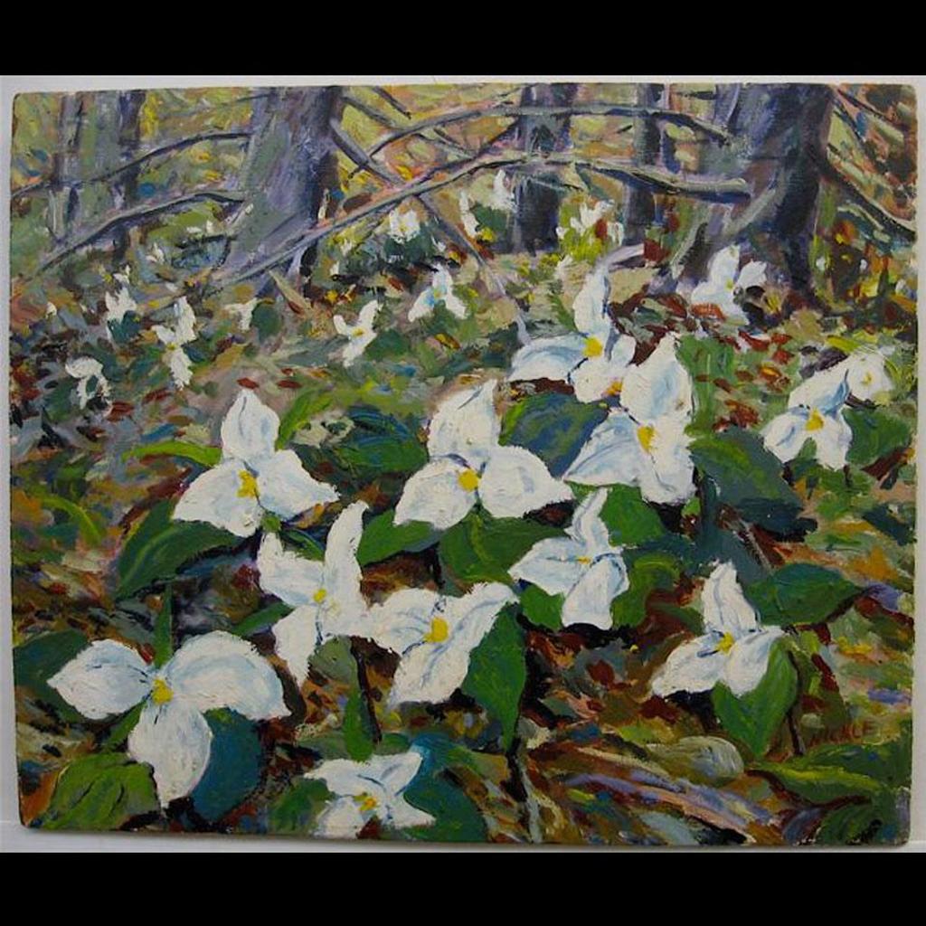 Lawrence Nickle (1931-2014) - Trilliums - Whitchurch Township