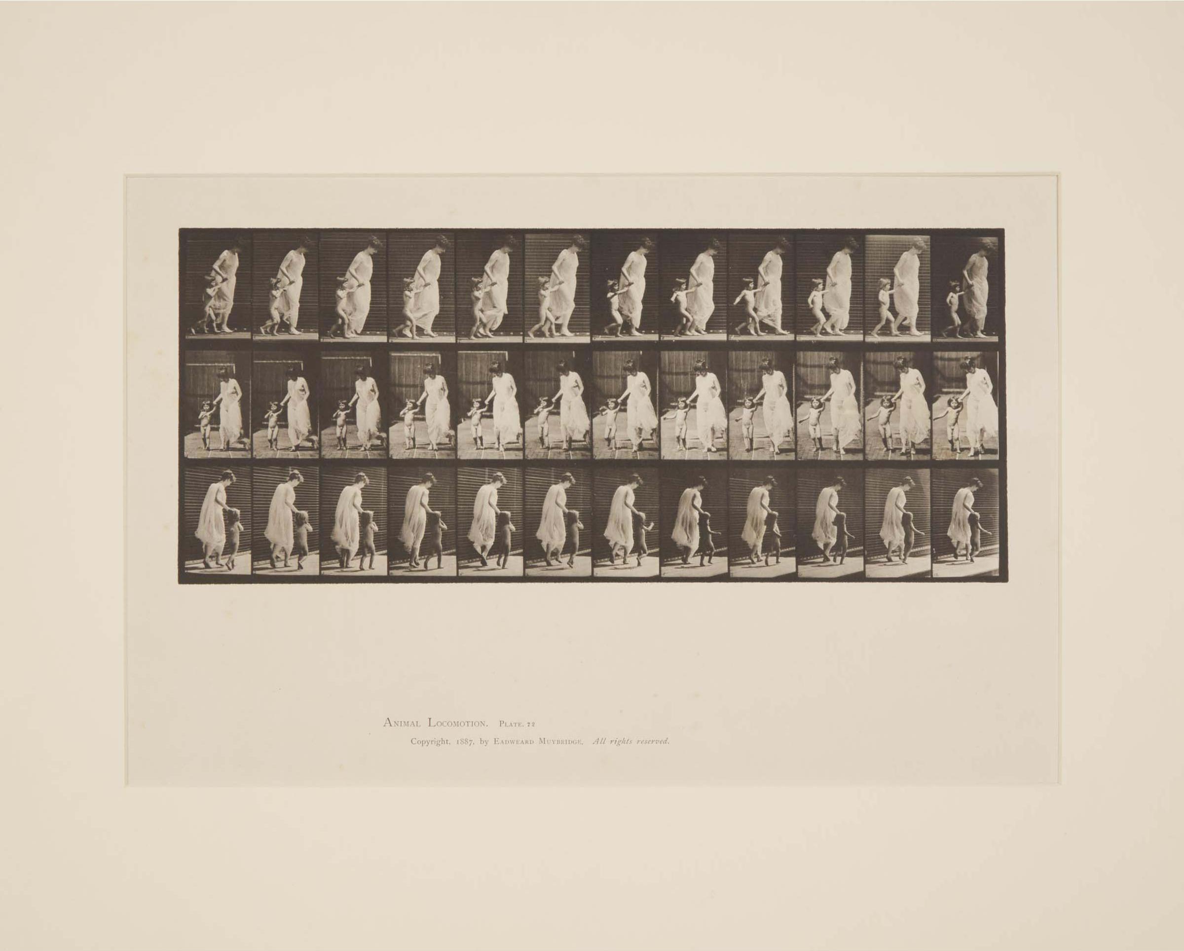 Eadweard Muybridge - Plate 72, From Animal Locomotion, 1887