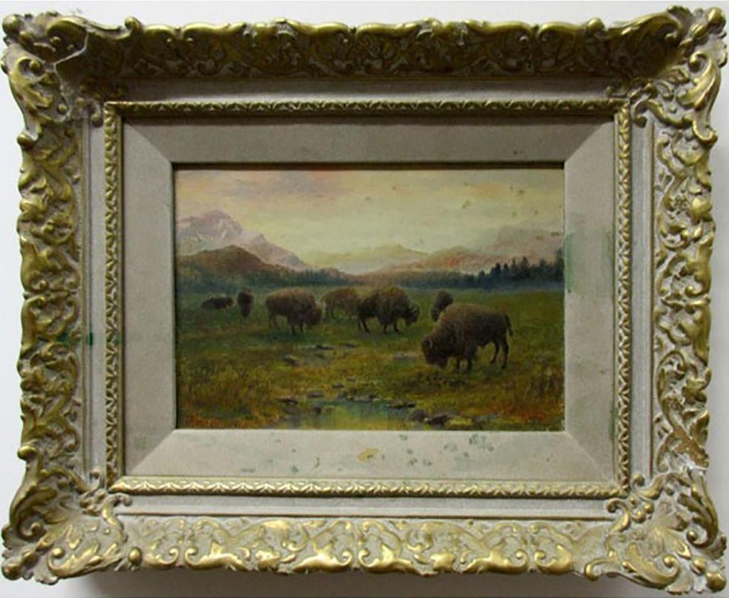 Thomas Harrison (T.H.) Wilkinson (1847-1929) - Untitled (Where The Buffaloes Roam)