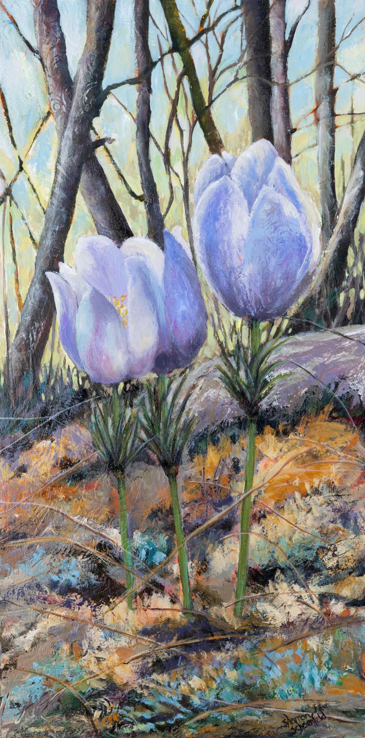 Sharron Schoenfeld (1958) - Crocus 7