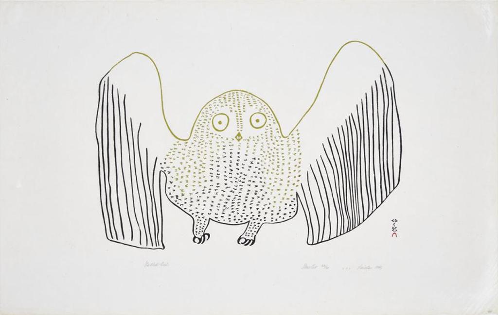 Pauta Saila (1916-2009) - Startled Owl
