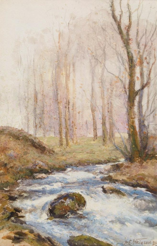 William Edwin Atkinson (1862-1926) - The Cascade in Duke’s Woods, Peter Tavy, Devon
