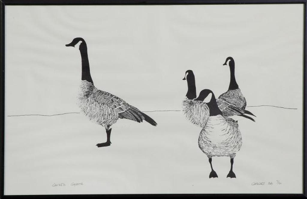 Cathcart - Canada Geese