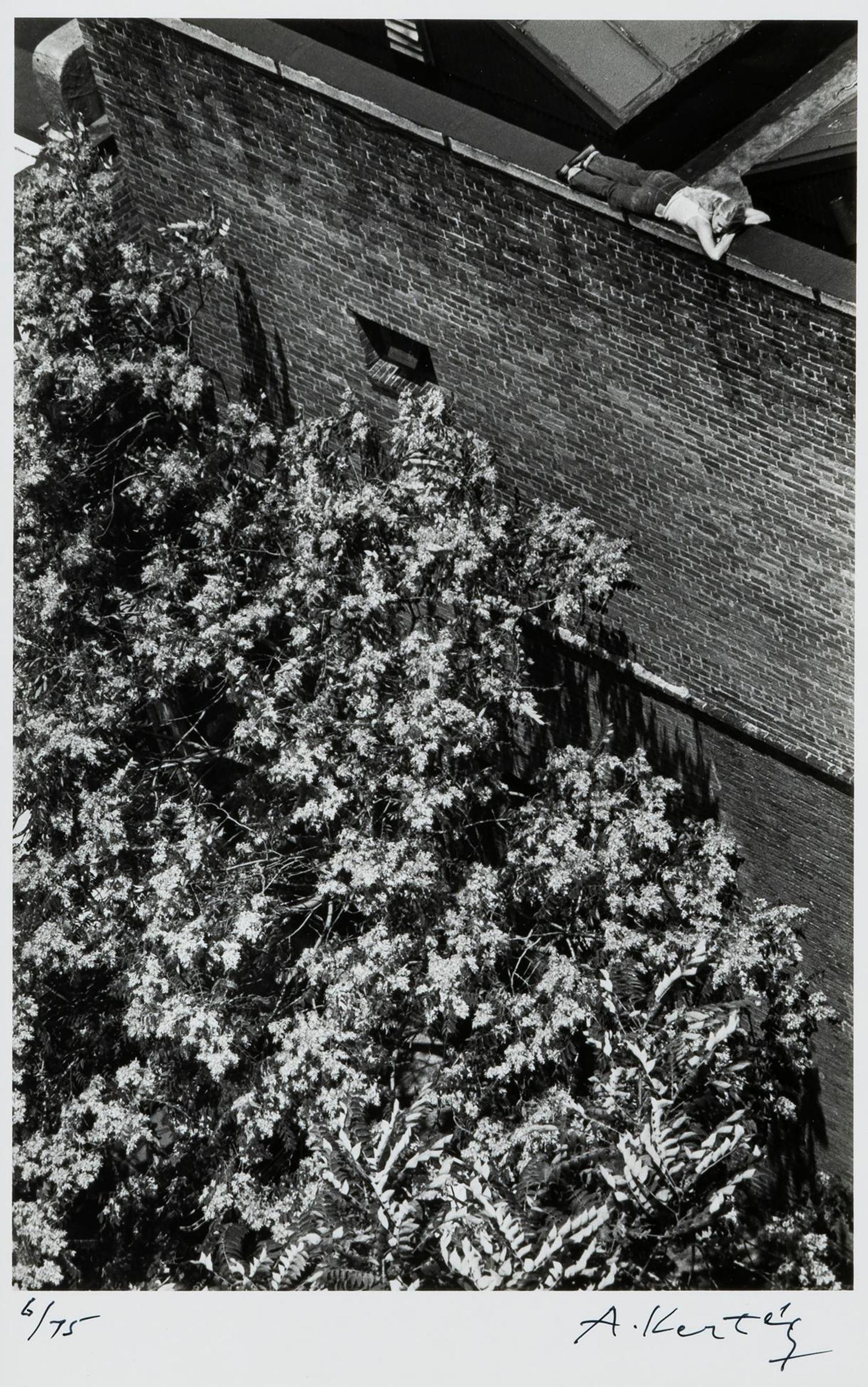 Andre Kertesz (1894-1985) - New York City, July 10, 1977