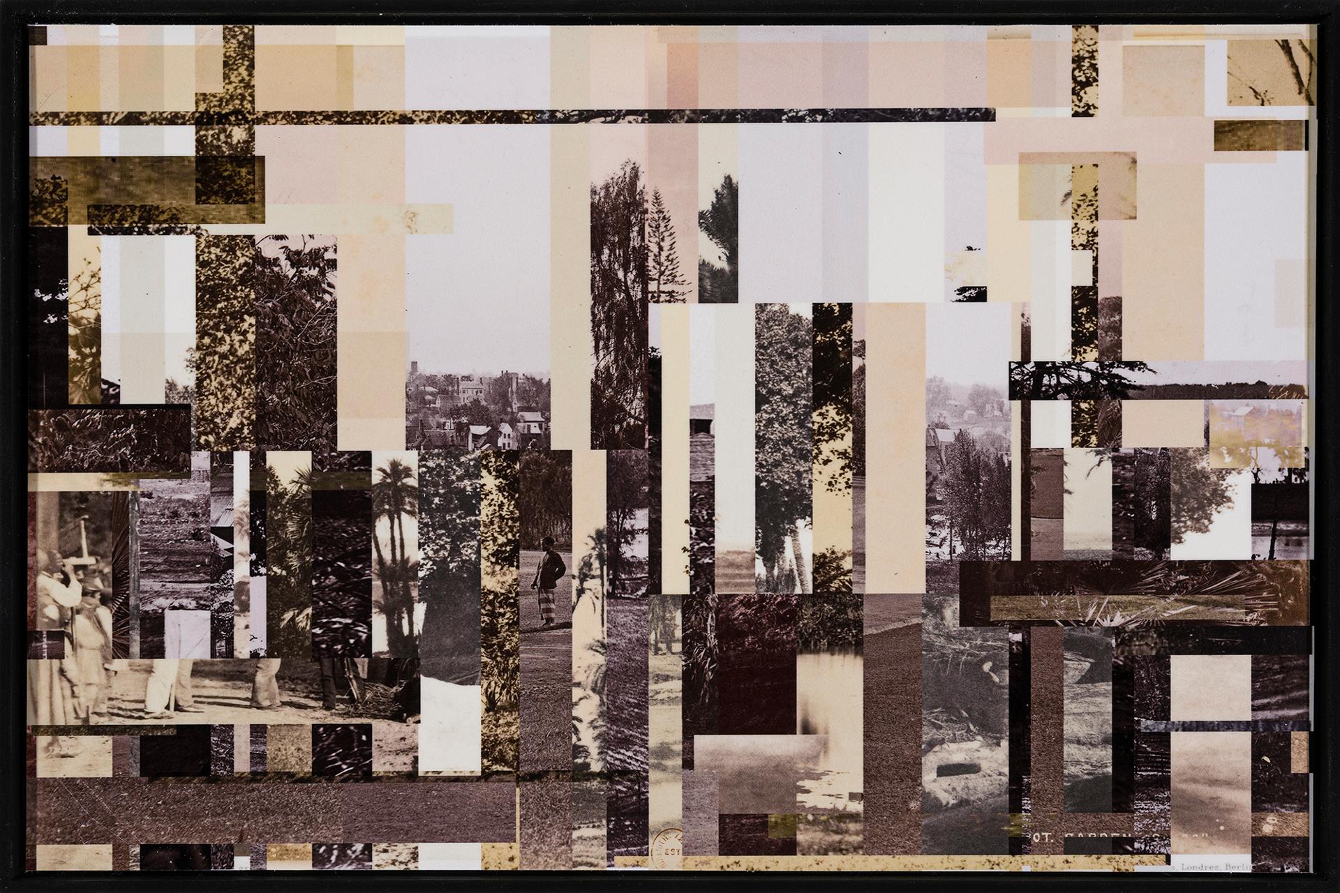 Adam Basanta - Collaged 19th Century Photographic Landscapes with Trees, Palms and Observers, 2019