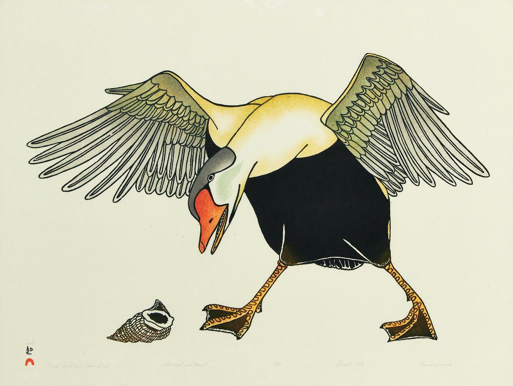 Kananginak Pootoogook (1935-2010) - Snail Shell and Eider Duck
