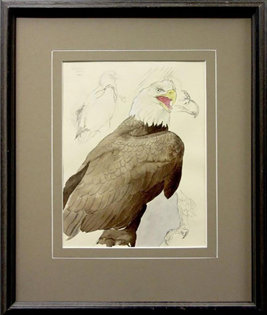 Glen Loates (1945) - Bald Eagle Sketches