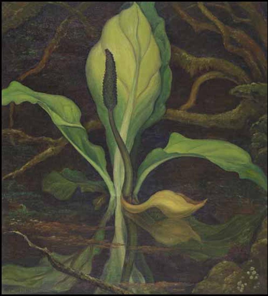 William Percival (W.P.) Weston (1879-1967) - Swamp / Mountain Landscape (verso)