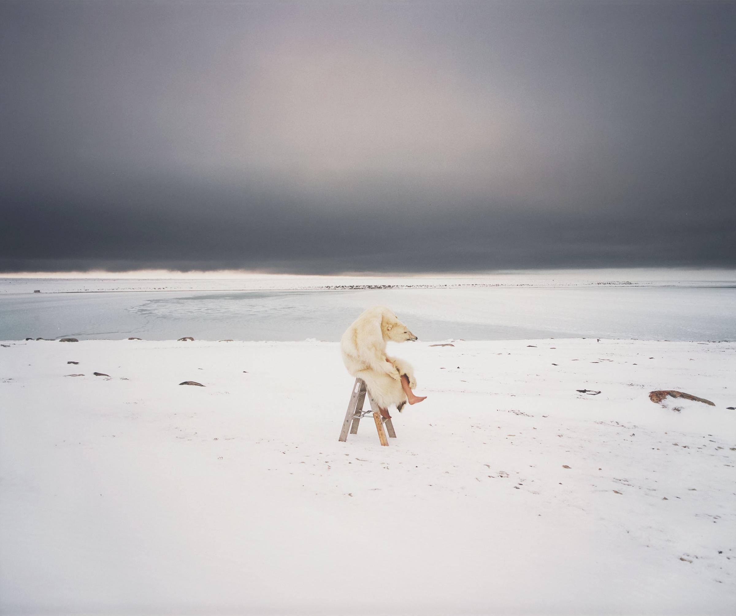 Scarlett Hooft Graafland - Polar Bear, From 