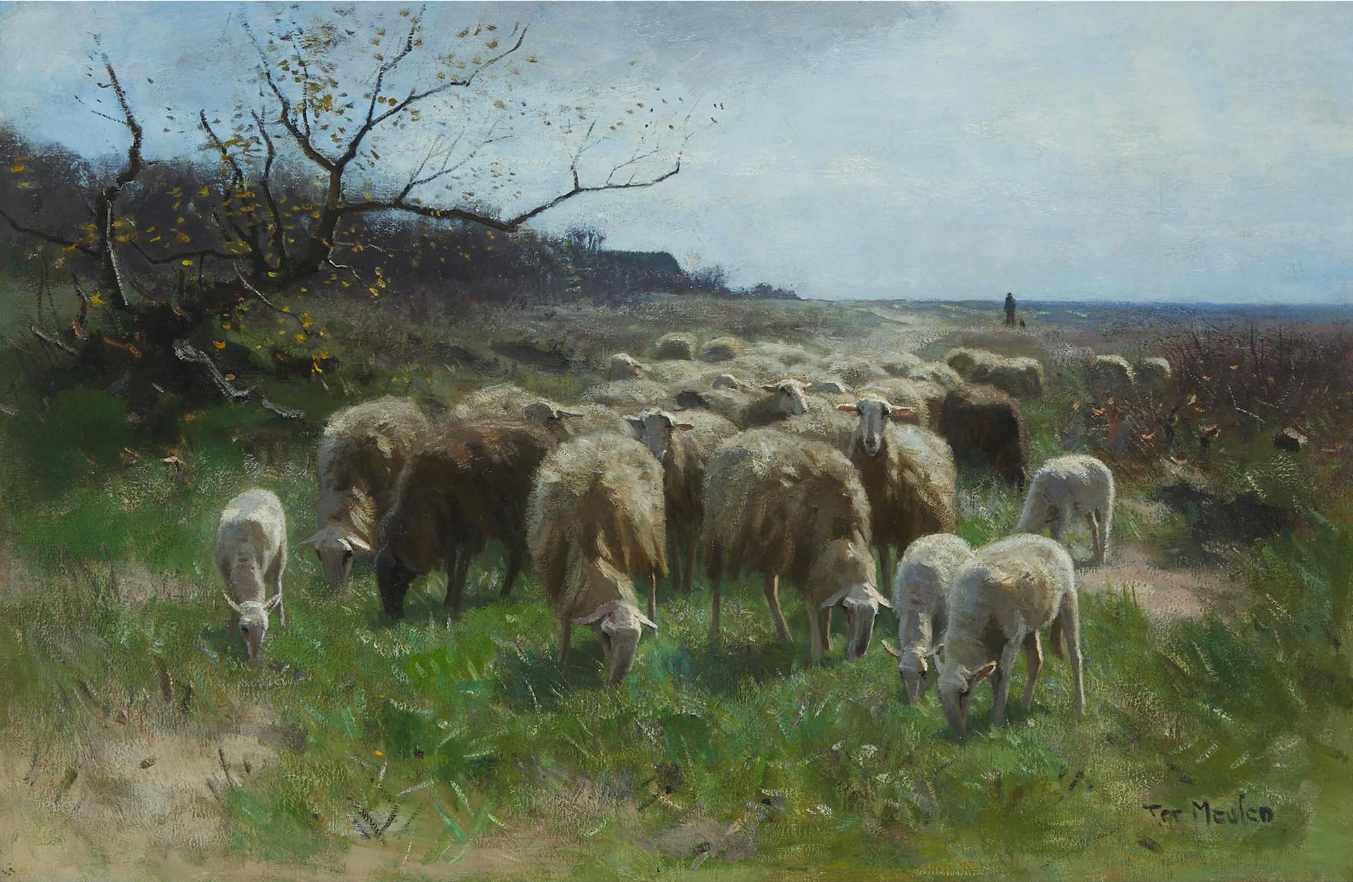 François Pieter ter Meulen (1843) - Sheep, Circa Early 20th Century