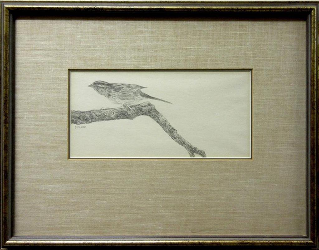 George Elson Mclean (1939) - Untitled (Sparrow On A Branch)